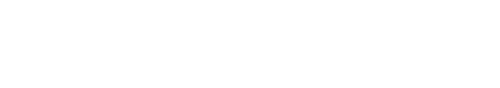 weserve360 logo white